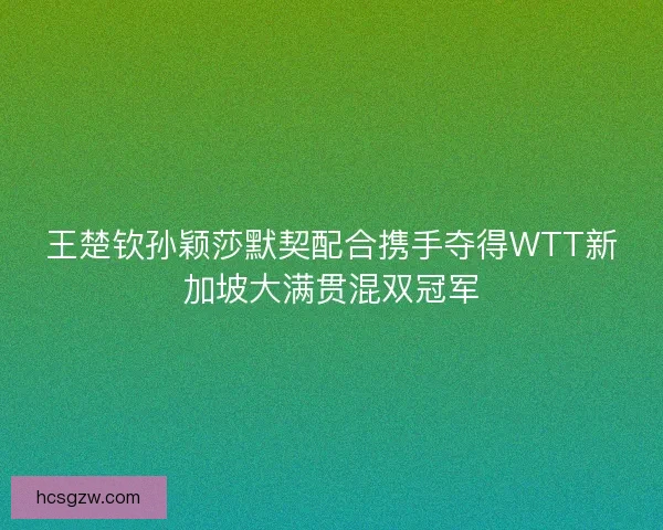 王楚钦孙颖莎默契配合携手夺得WTT新加坡大满贯混双冠军