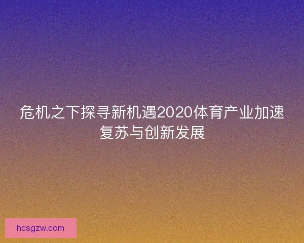 危机之下探寻新机遇2020体育产业加速复苏与创新发展 危机之下探寻新机遇2020体育产业加速复苏与创新发展